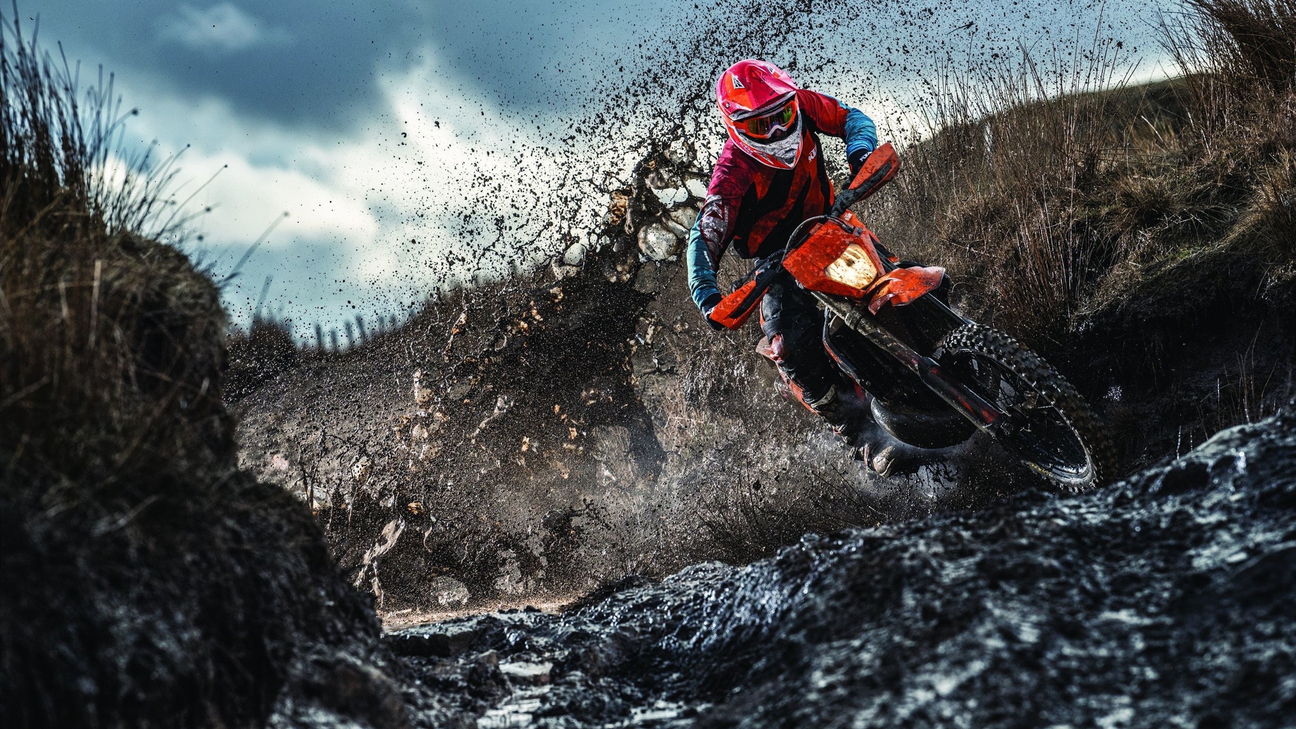 特色攀树挑战赛，锻炼平衡感和勇气，攀树比赛项目